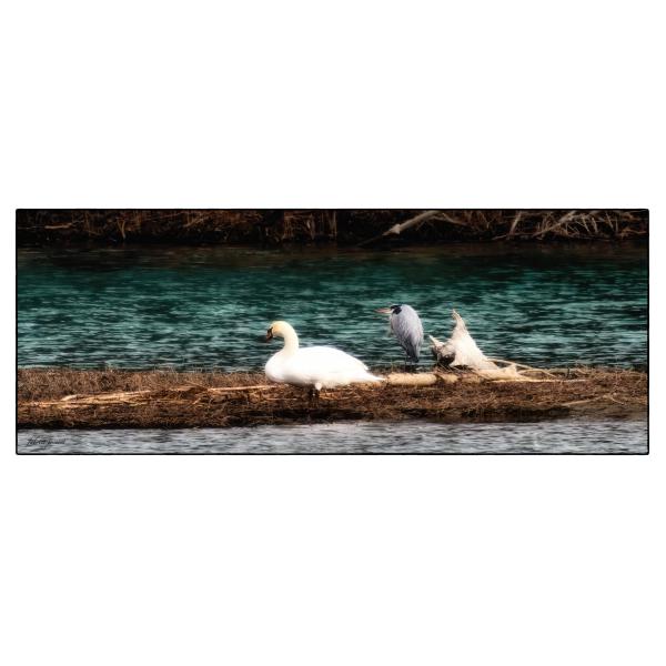 PHOTO84, CLUB, 84 , LUBERON